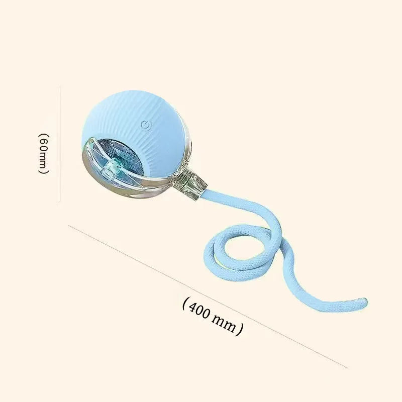 Smart Ball for Cat and Dog