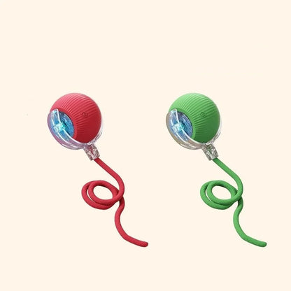 Smart Ball for Cat and Dog