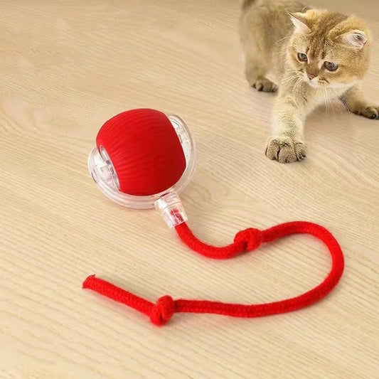 Smart Ball for Cat and Dog