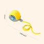 Smart Ball for Cat and Dog