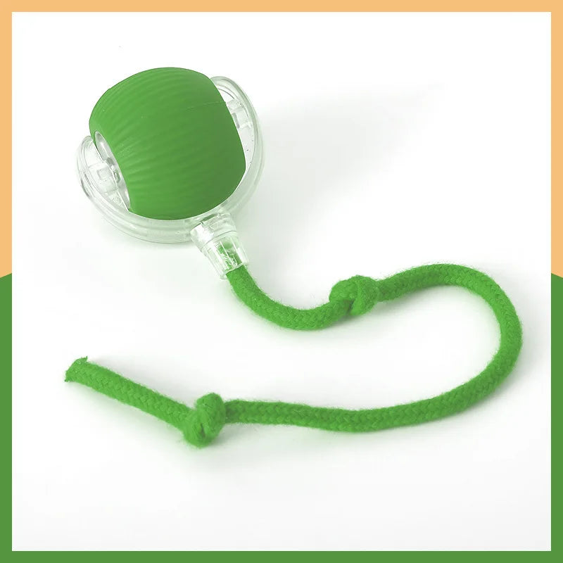 Smart Ball for Cat and Dog