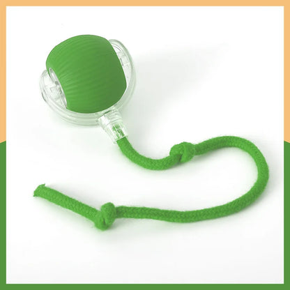 Smart Ball for Cat and Dog