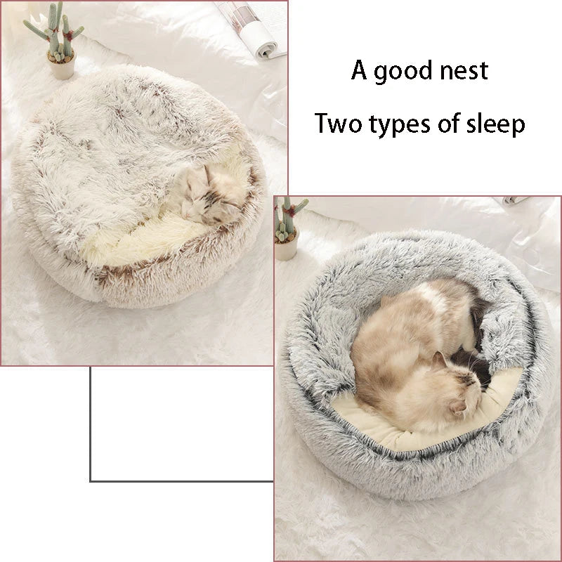 Cat Bed