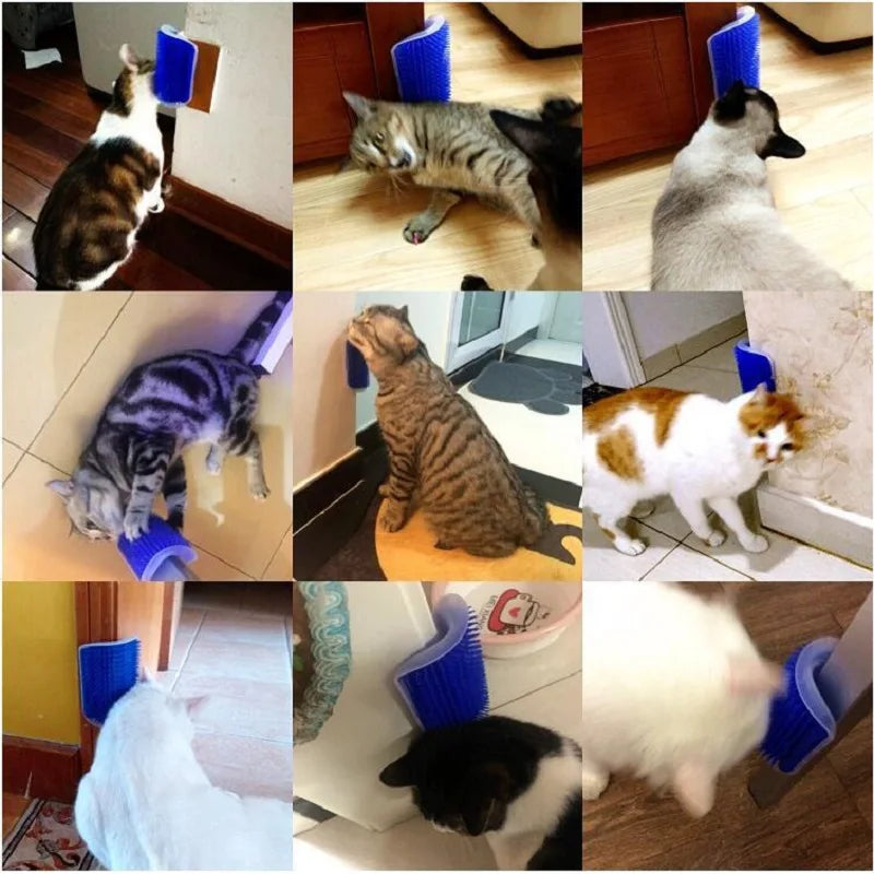 Massager for Cats