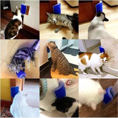 Massager for Cats
