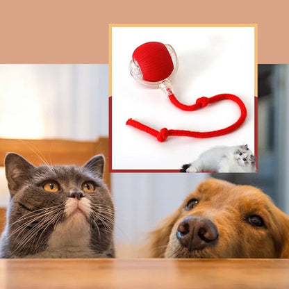 Smart Ball for Cat and Dog
