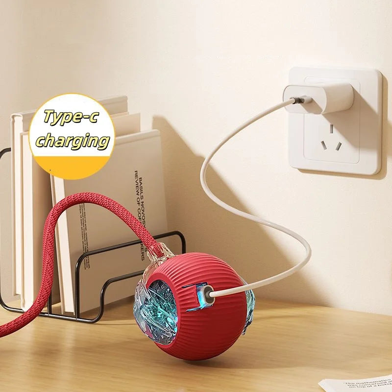 Smart Ball for Cat and Dog