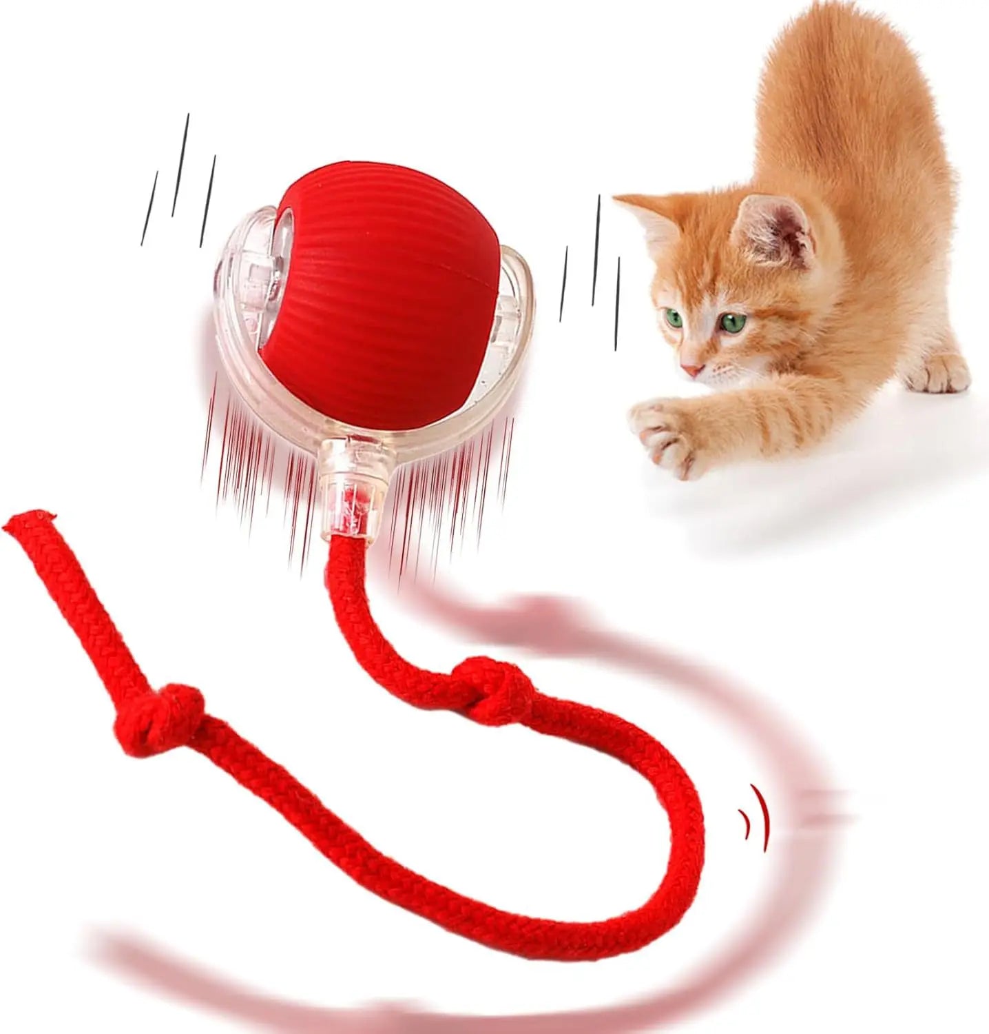 Smart Ball for Cat and Dog