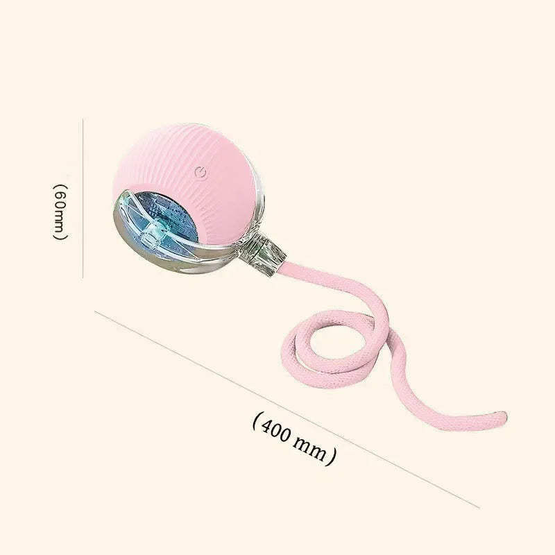 Smart Ball for Cat and Dog