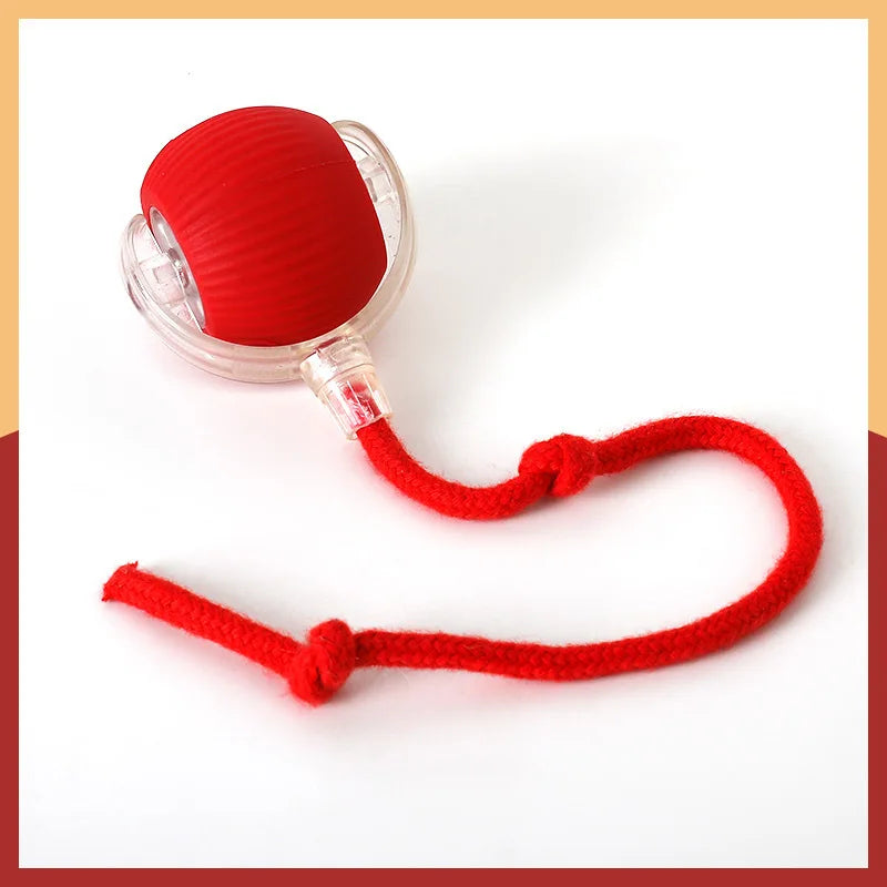 Smart Ball for Cat and Dog